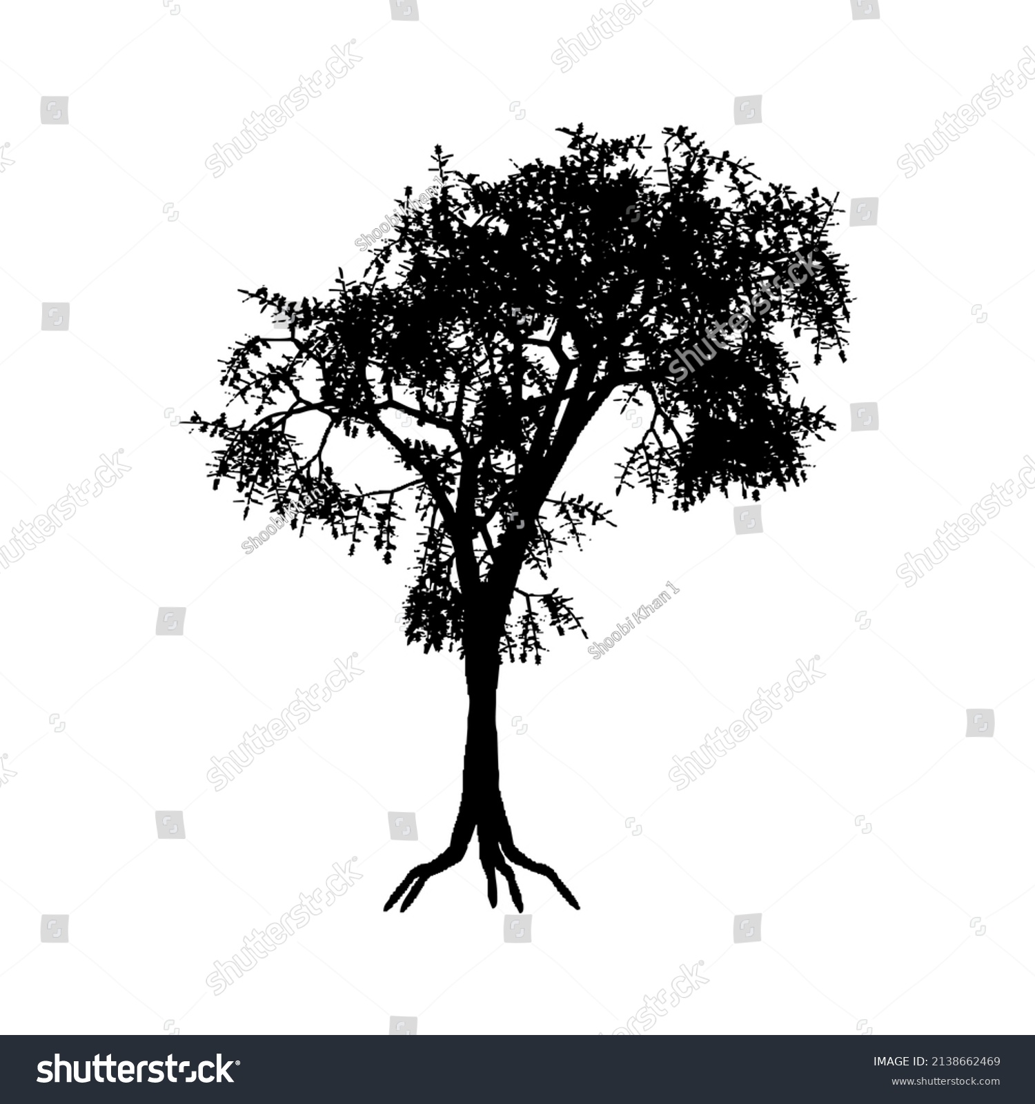 Deciduous Tree Vector Image Deciduous Tree Stock Vector (Royalty Free ...