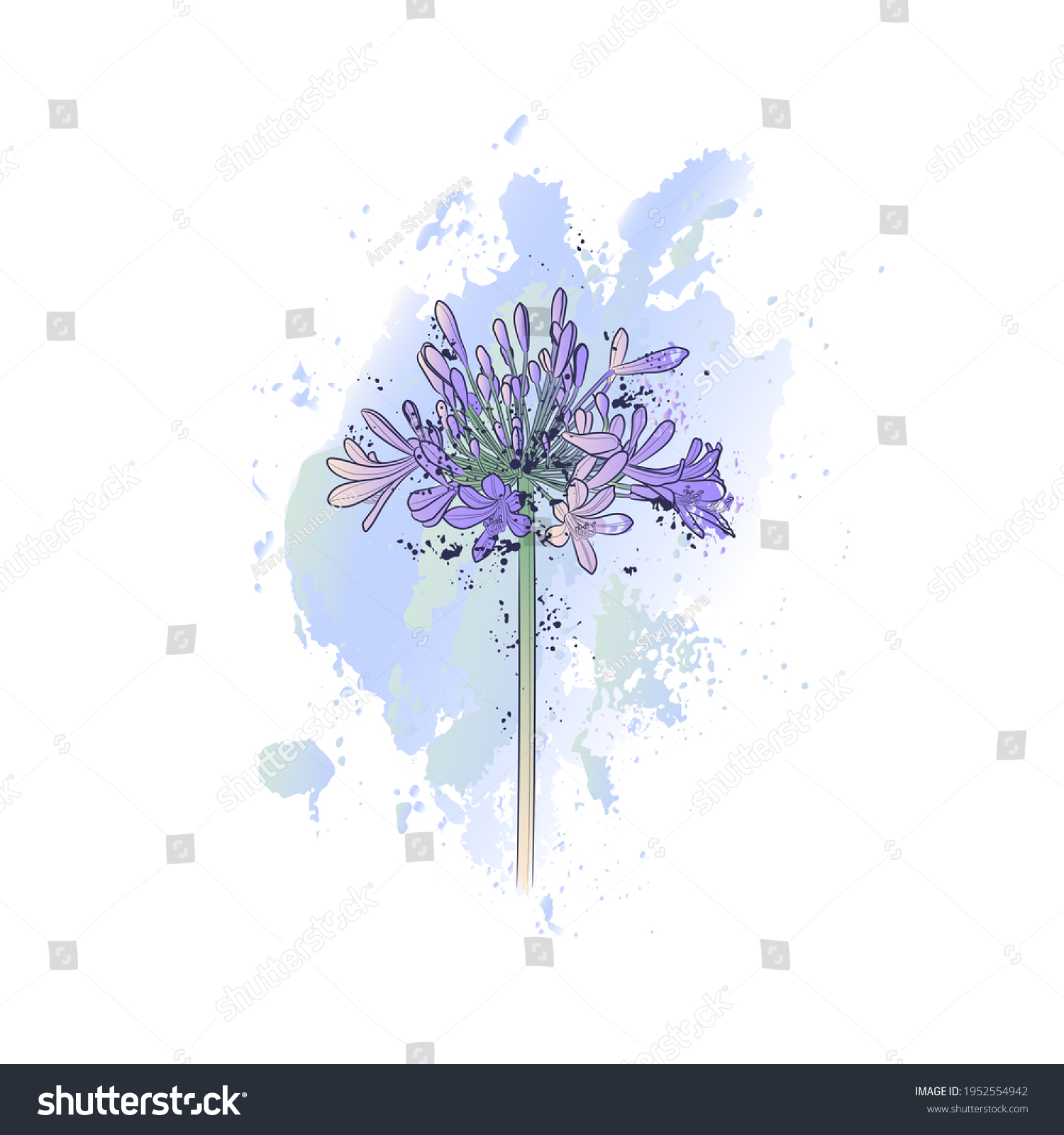 SVG of Decorative background with Lily of the Nile (Agapanthus). Card template design. Vector illustration. svg