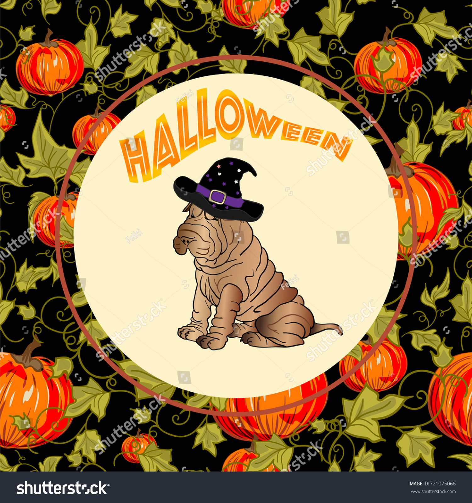 Decorative Frame Halloween Motive Pet Shop Backgrounds Textures