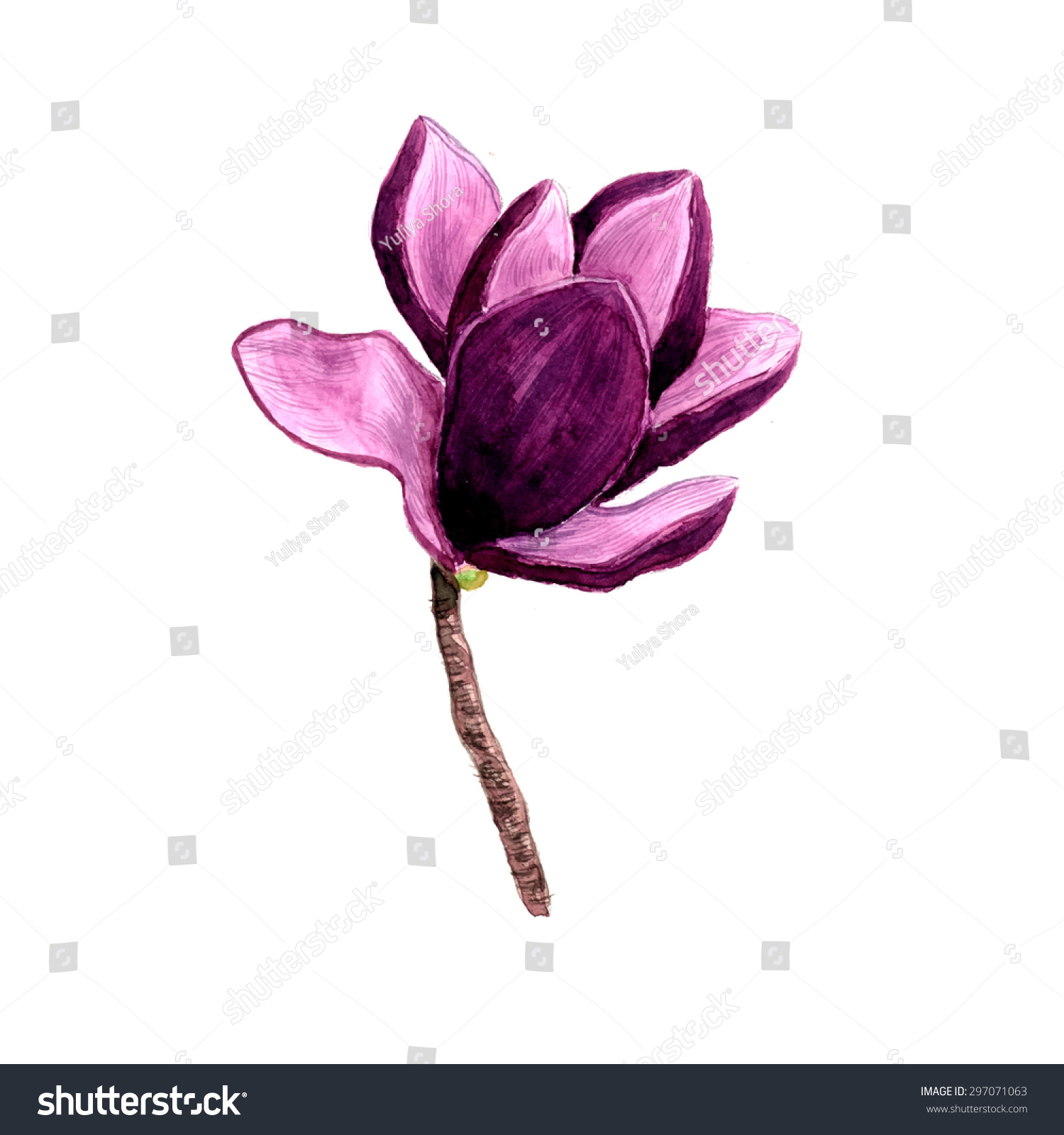 Decorative Hand Painted Watercolor Vector Spring Stock Vector Decorative Hand Painted Watercolor Vector Spring Stock Vector