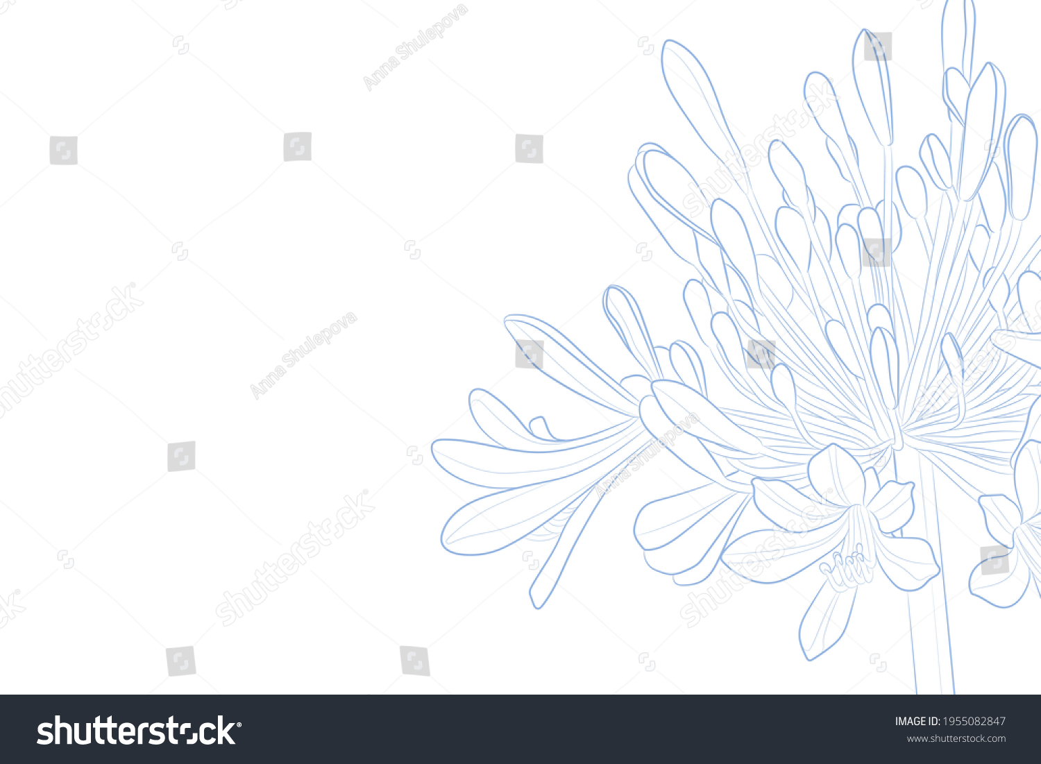 SVG of Decorative light background with Agapanthus (Lily of the Nile). Card template design. Vector illustration. svg