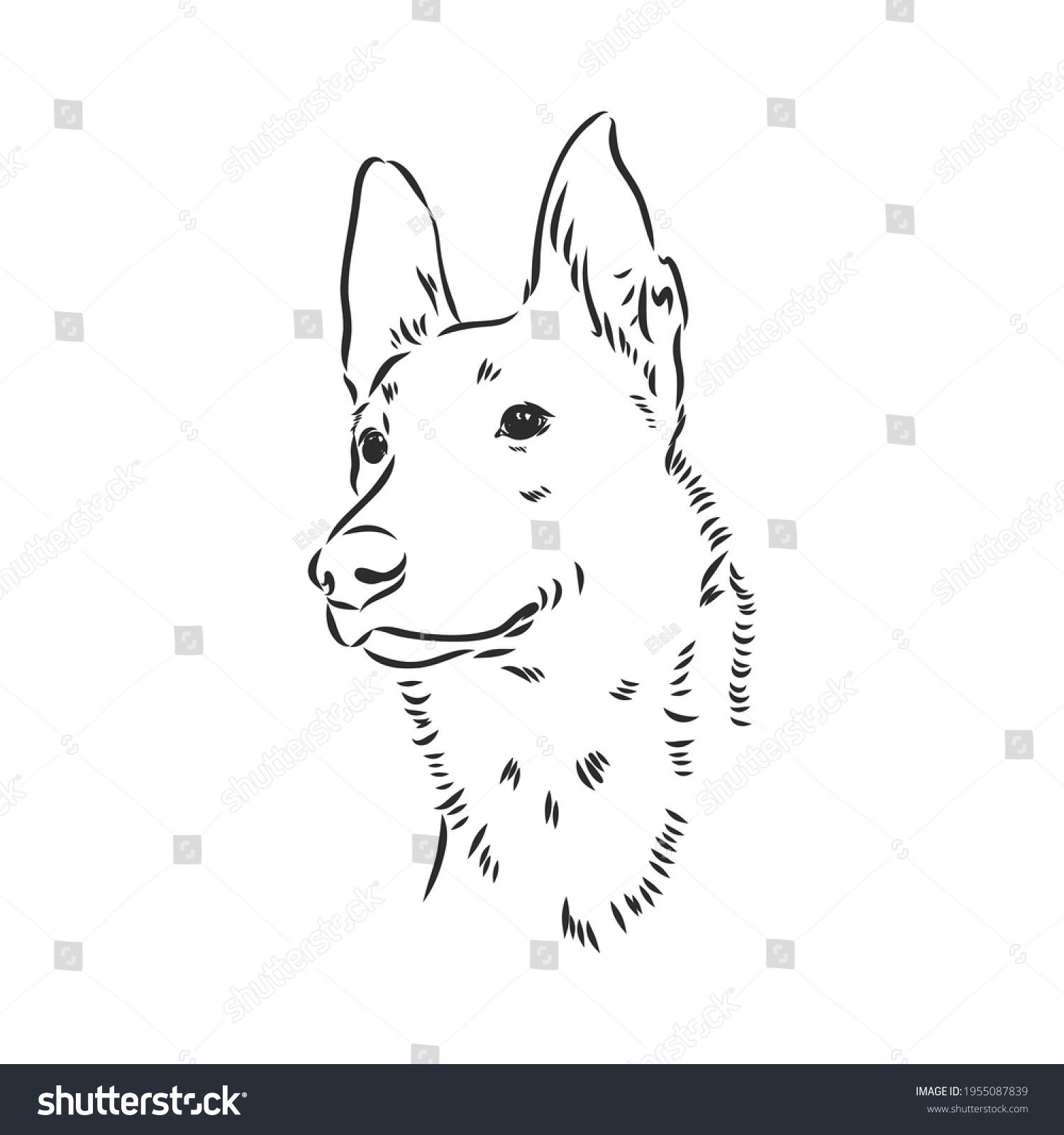 SVG of Decorative portrait of standing in profile Belgian Shepherd Groenendael, vector isolated illustration in black color on white background svg