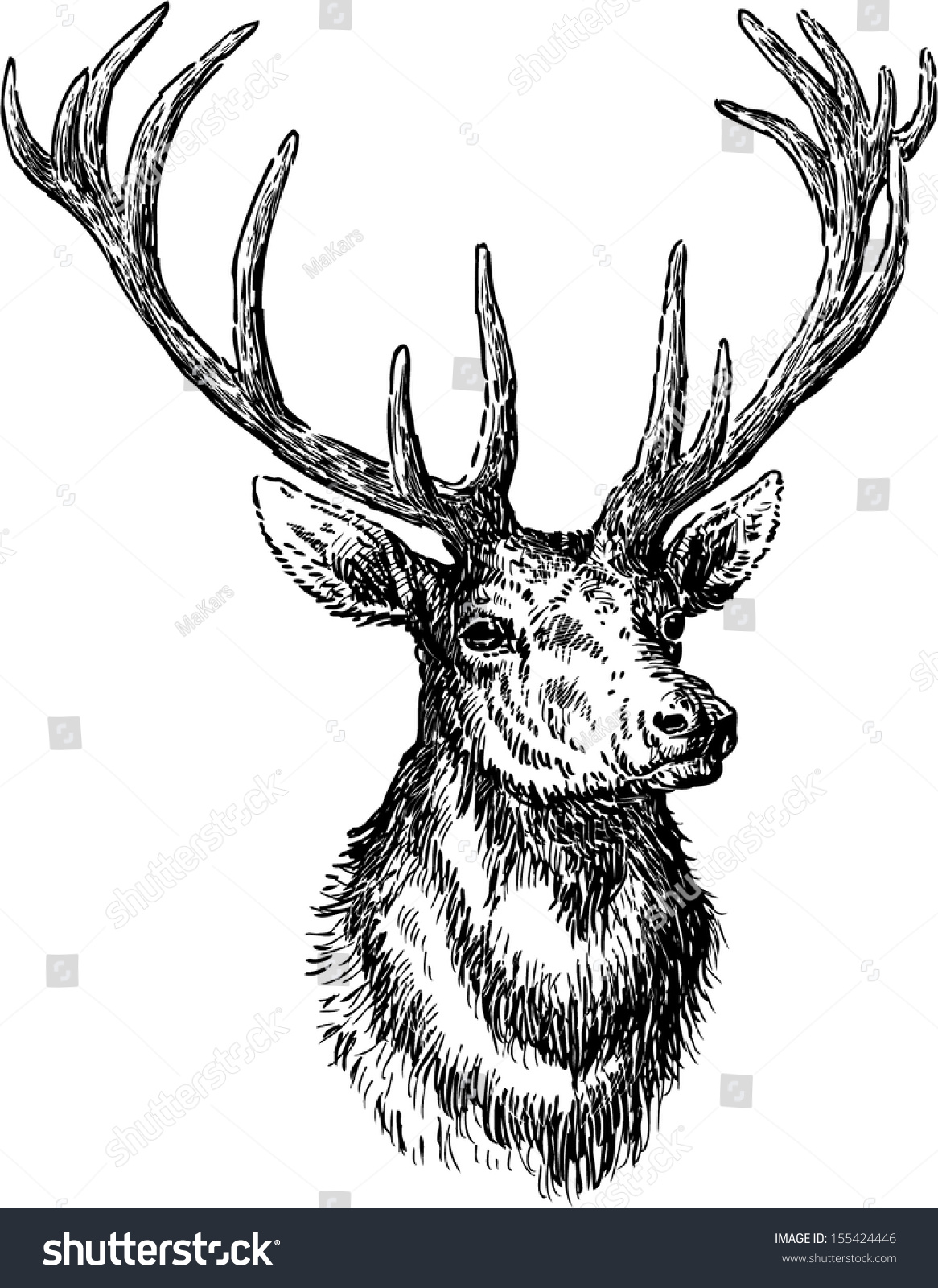 Deer Stock Vector 155424446 - Shutterstock