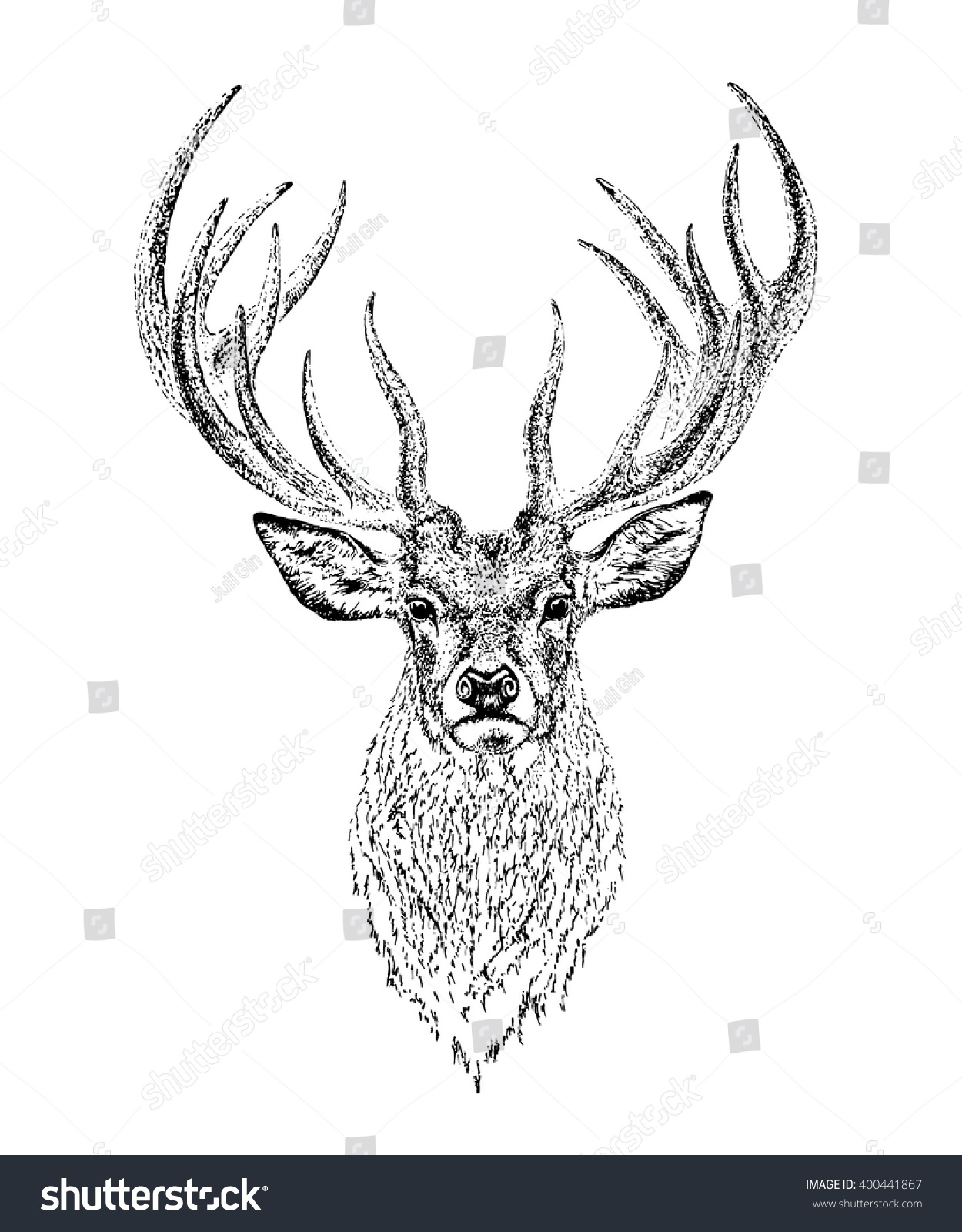 Deer Engraved Illustration Vector Stock Vector 400441867 - Shutterstock