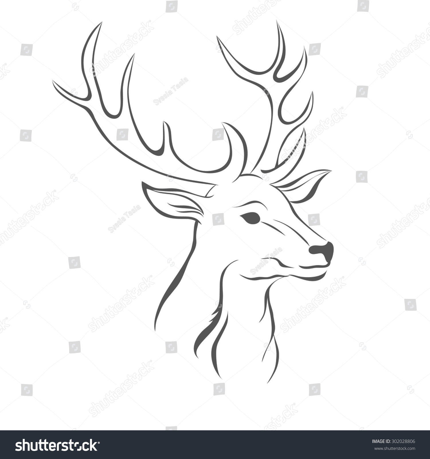 Deer Head Isolated On White Background Stock Vector 302028806 ...