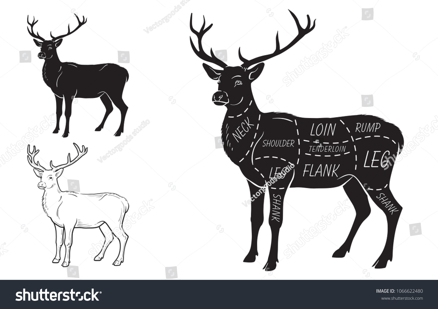 3,343 Deer meat cuts Images, Stock Photos & Vectors | Shutterstock