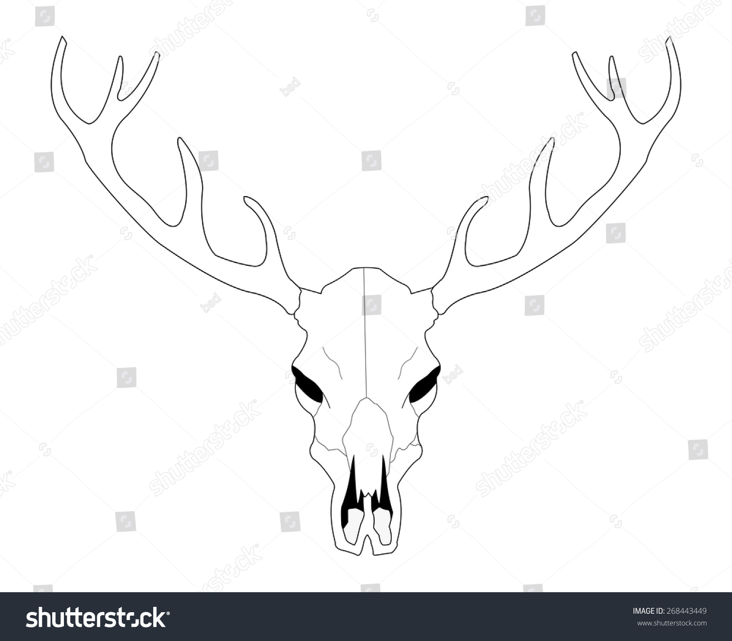 Deer Skull Line Art Vector Illustration Isolated On White - 268443449 ...