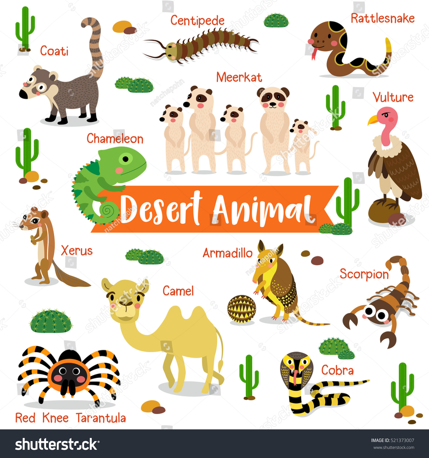 Download Desert Animals Cartoon On White Background With Animal ...