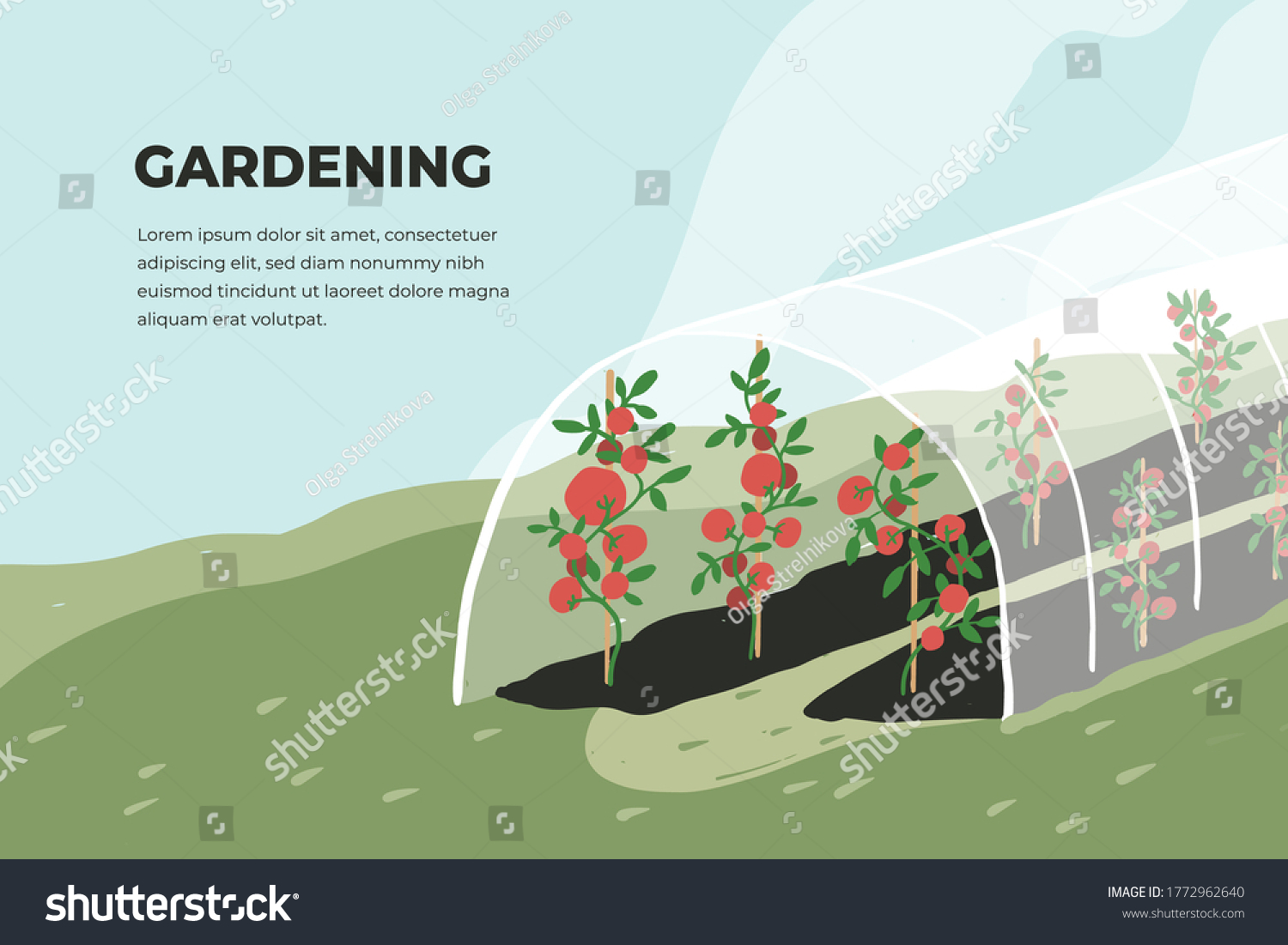SVG of Design template of gardening. Greenhouse with tomato plants. Spring or summer time in garden. Growing vegetables in agriculture. Farming landscape, cultivated land vector illustration. Banner or flyer svg