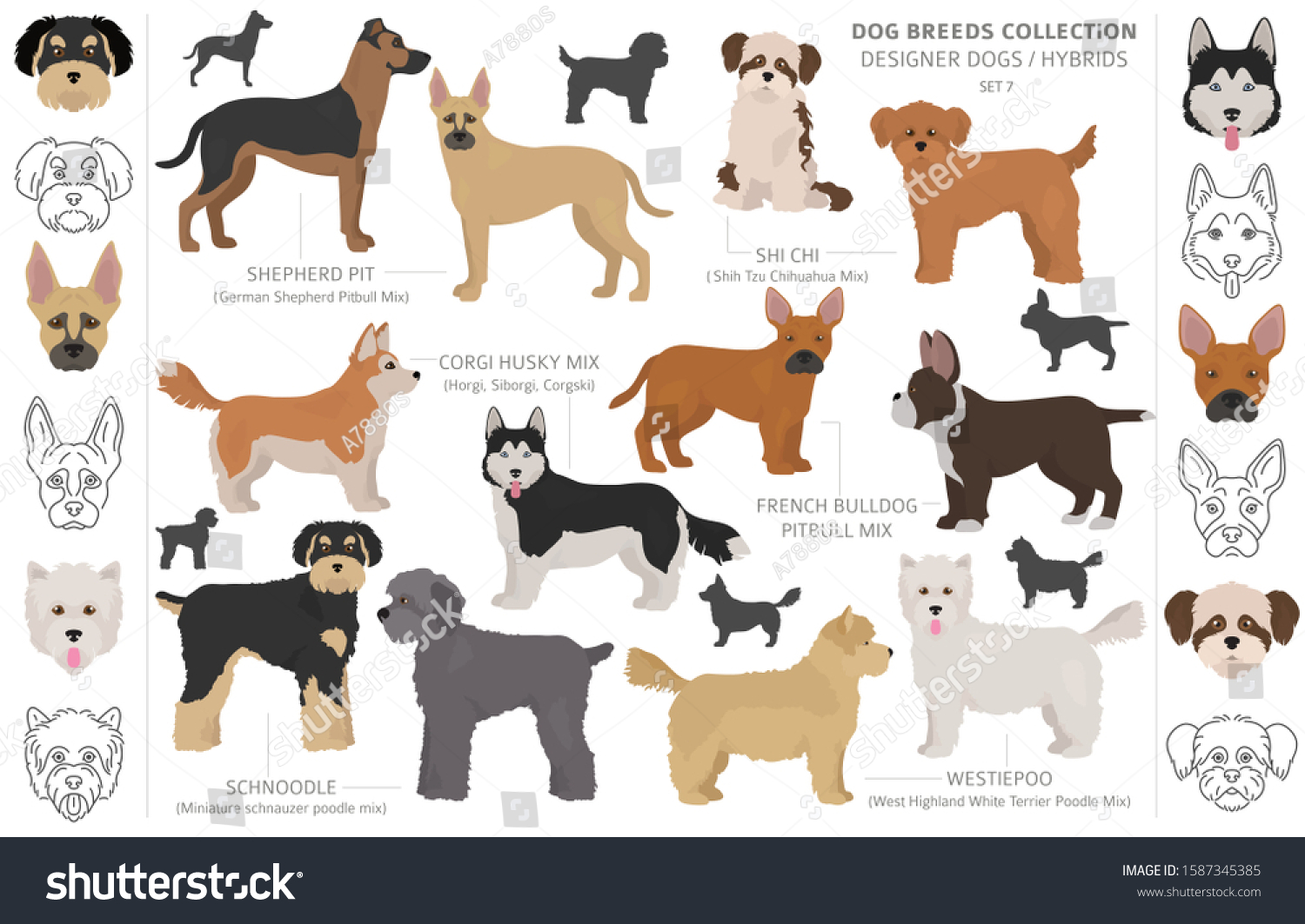 3 Westiepoo Stock Vectors, Images & Vector Art | Shutterstock