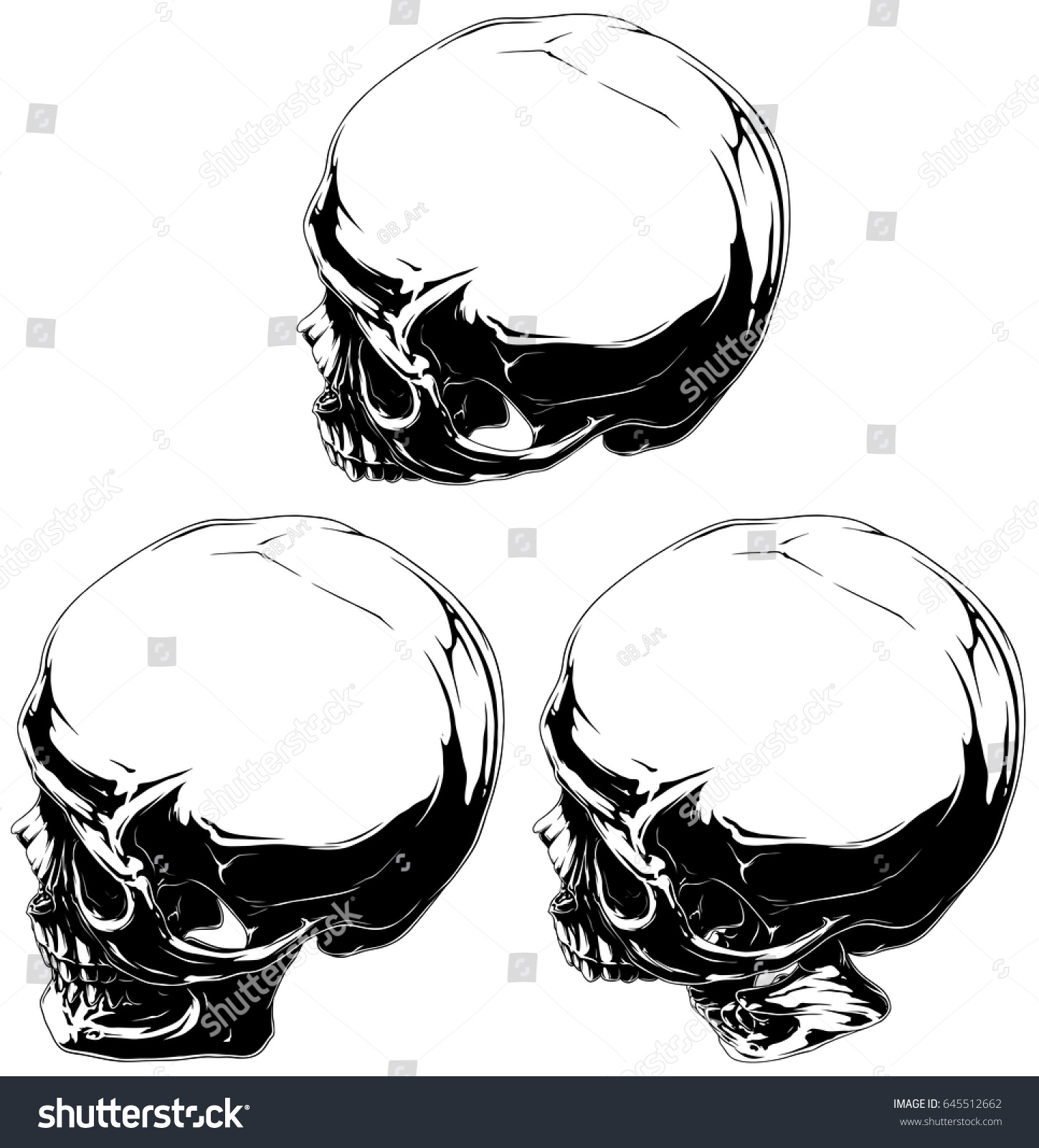 Detailed Black White Human Skull Tattoo Stock Vector Royalty Free 645512662 9252