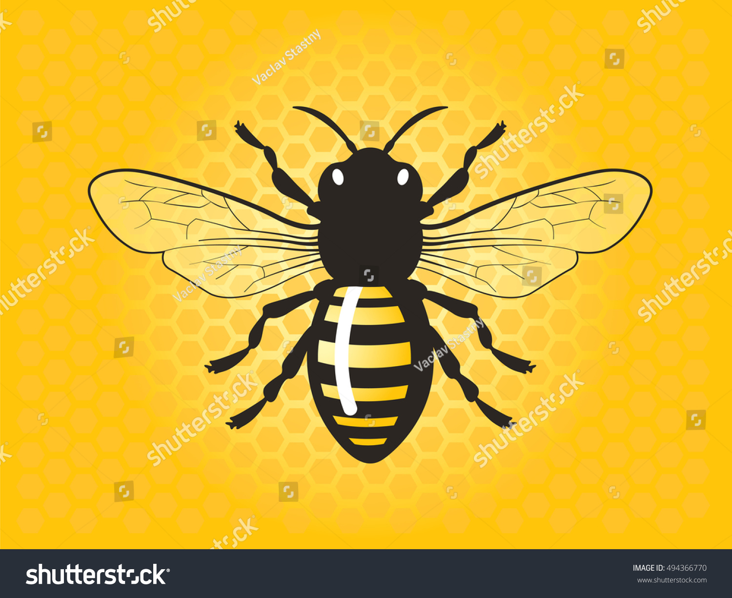 Detailed Honey Bee Vector Illustration Stock Vector Royalty Free 494366770 Shutterstock 0140