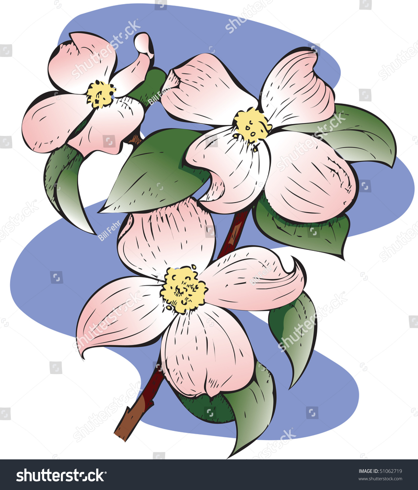 SVG of Detailed illustration of a Red Flowering Dogwood.. Hand-drawn style. CMYK color svg