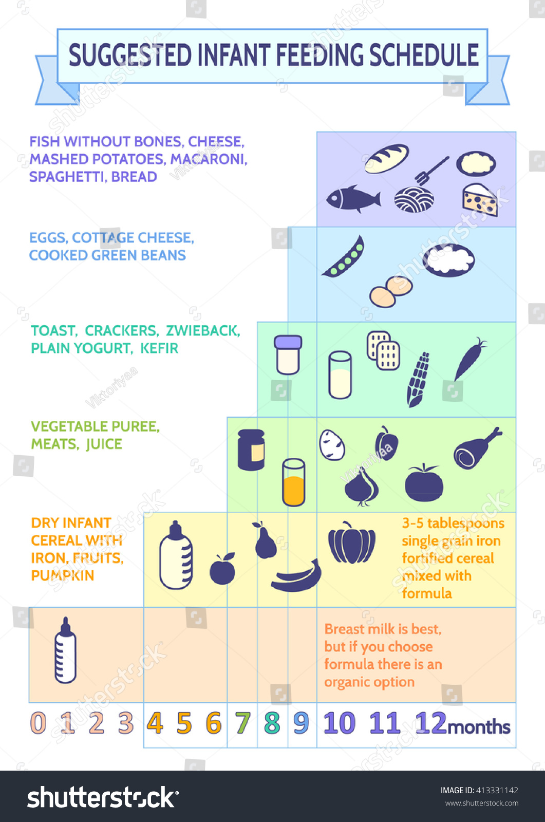 Detailed Information On Baby Food Infographicbabys Stock Vector ...