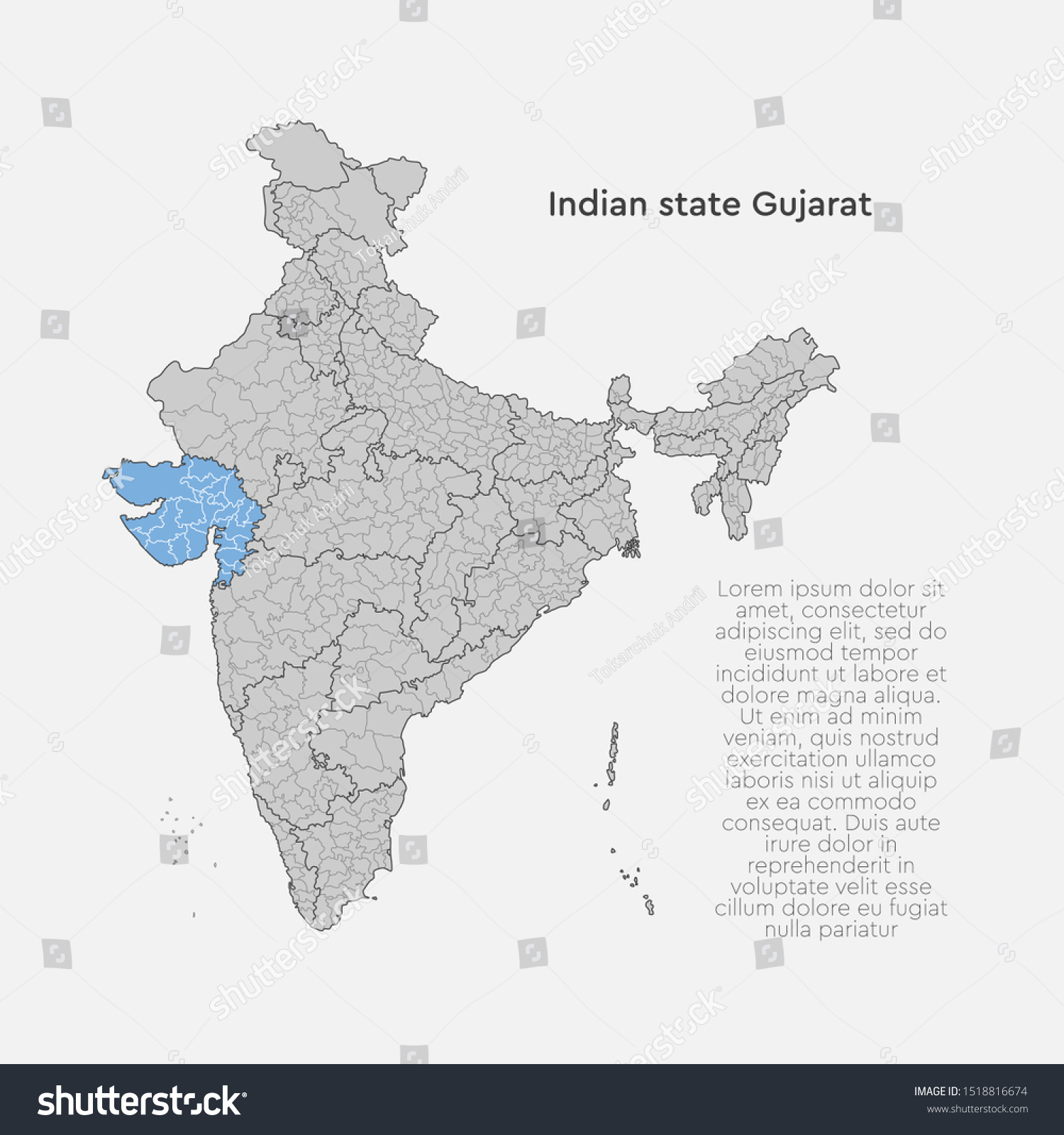 Detailed Vector India Country Outline Border Stock Vector (Royalty Free ...