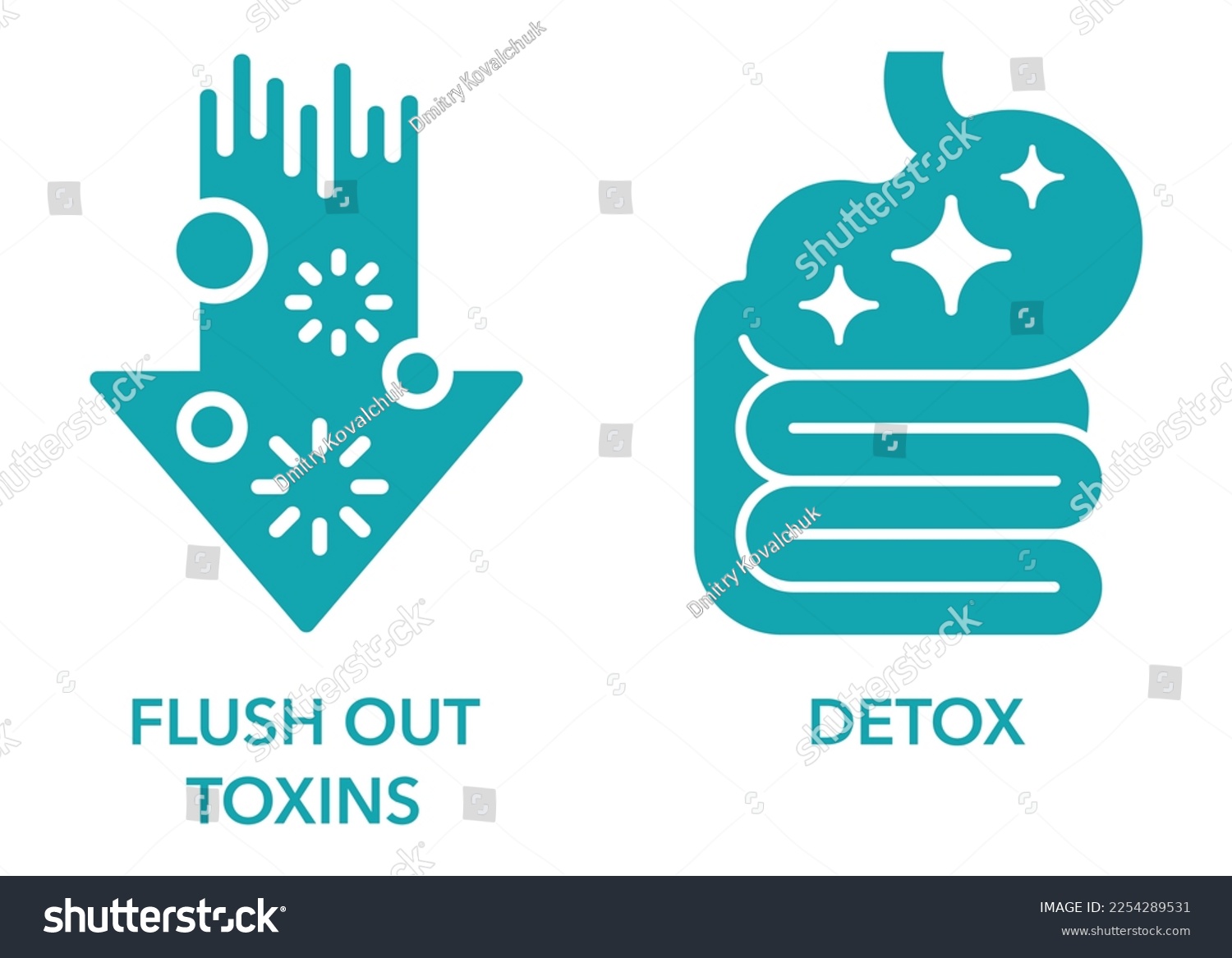 SVG of Detox and Flush Out Toxins flat icons set - labeling of food supplement svg