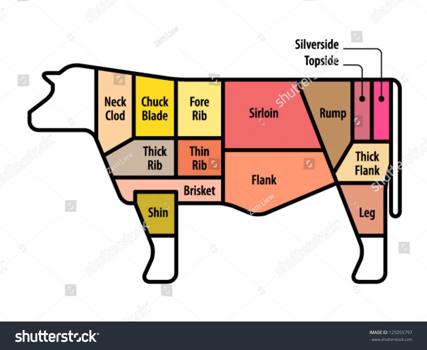 Diagram Cuts Beef Ukaustralia Stock Vector 125055797 - Shutterstock