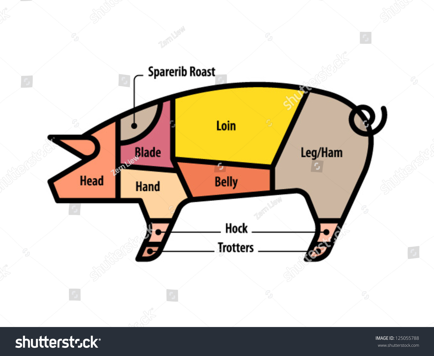 Diagram: Cuts Of Pork. Uk/Australia. Stock Vector Illustration ...