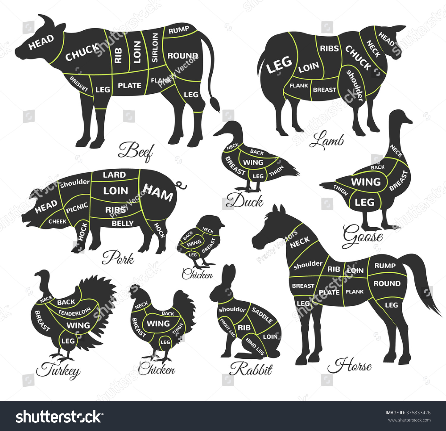 Diagram Guide For Cutting Meat. Vector Black Icon Illustration Set ...