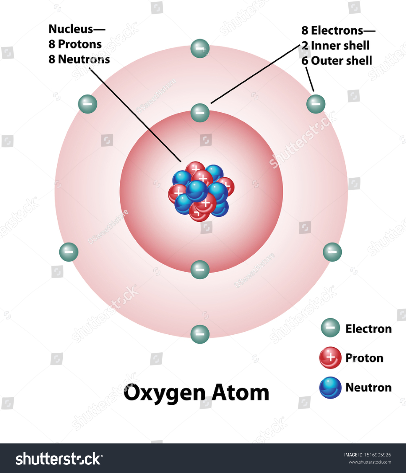 Diagram Oxygen Atom Nucleus Inner Outer Stock Vector (Royalty Free