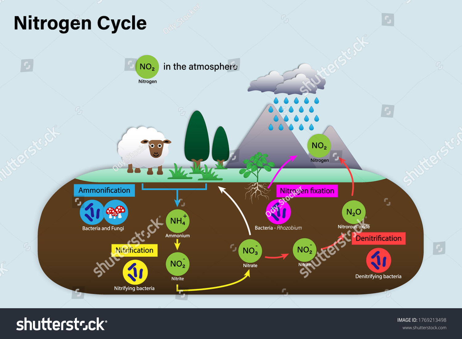 Diagram Nitrogen Cycle Biogeochemical Cycle Education Arkivvektor ...