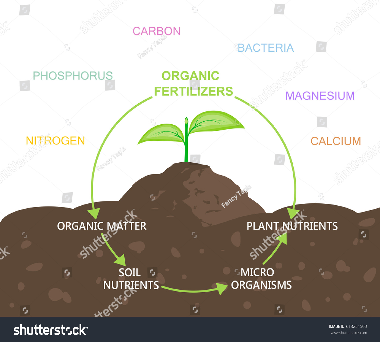 Diagram Nutrients Organic Fertilizers Plant Soil Stock Vector (Royalty ...