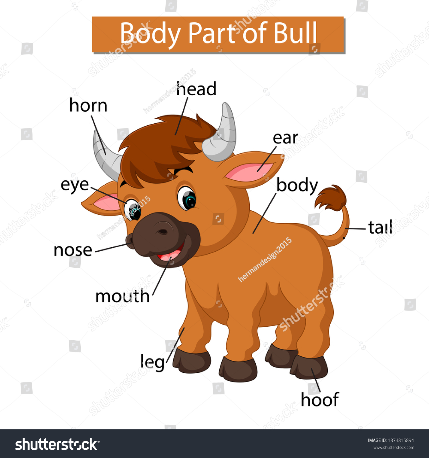 Diagram Showing Body Part Bull Stock Vector (Royalty Free) 1374815894