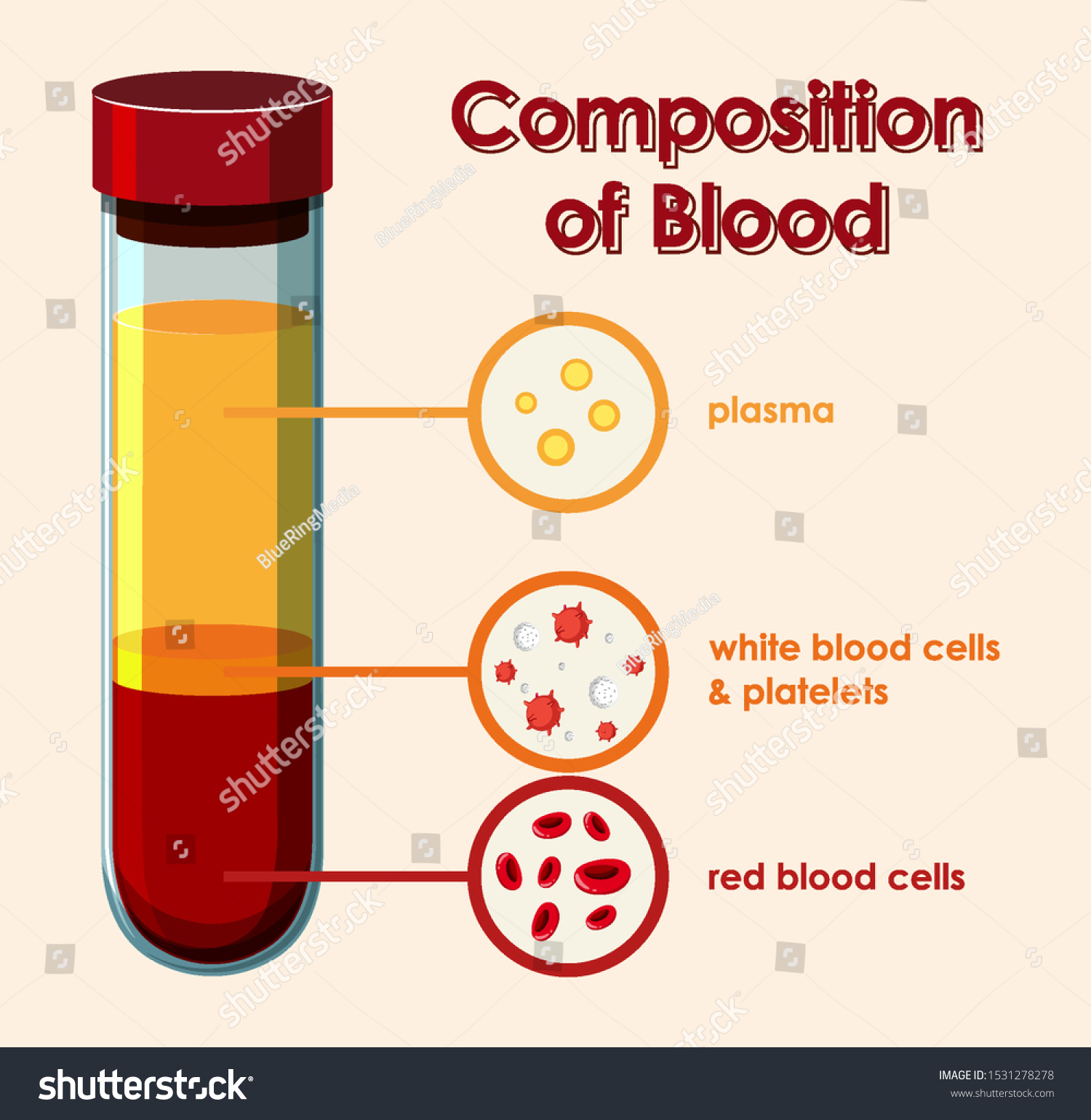 diagram-showing-composition-blood-illustration