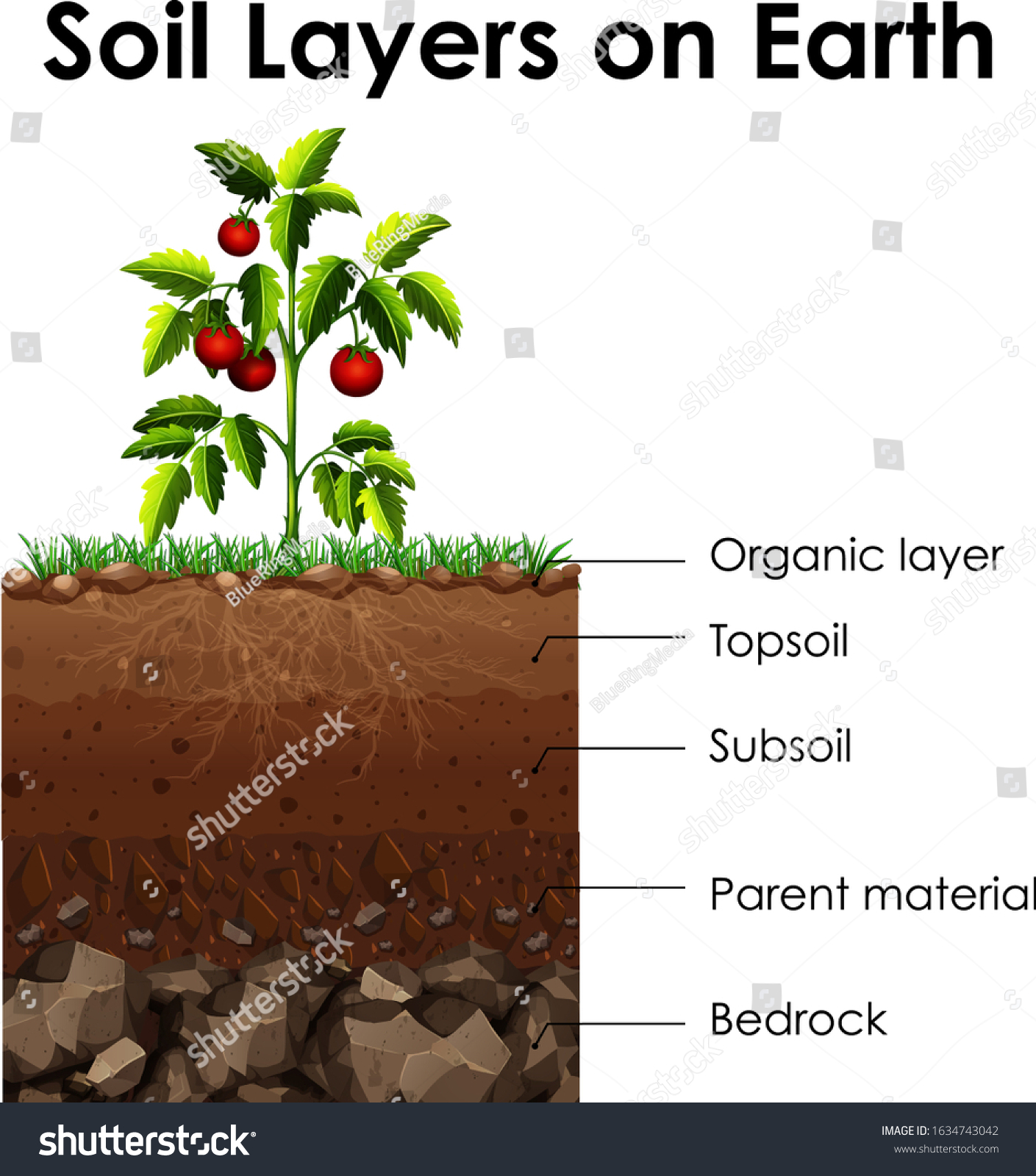 diagram-showing-soil-layers-on-earth-1634743042-shutterstock