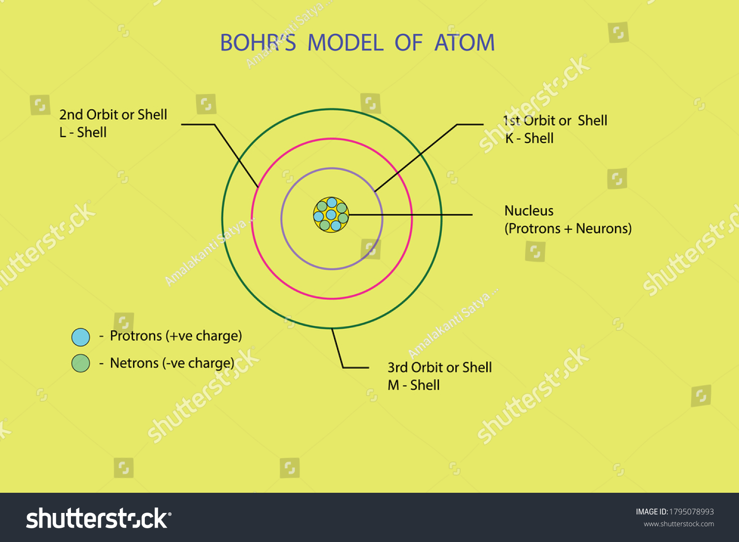 Diagram Show Bohrs Model Atom Stock Vector Royalty Free 1795078993