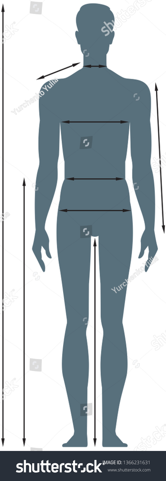 Diagrams Male Body Measurements Full Length Stock Vector (Royalty Free ...