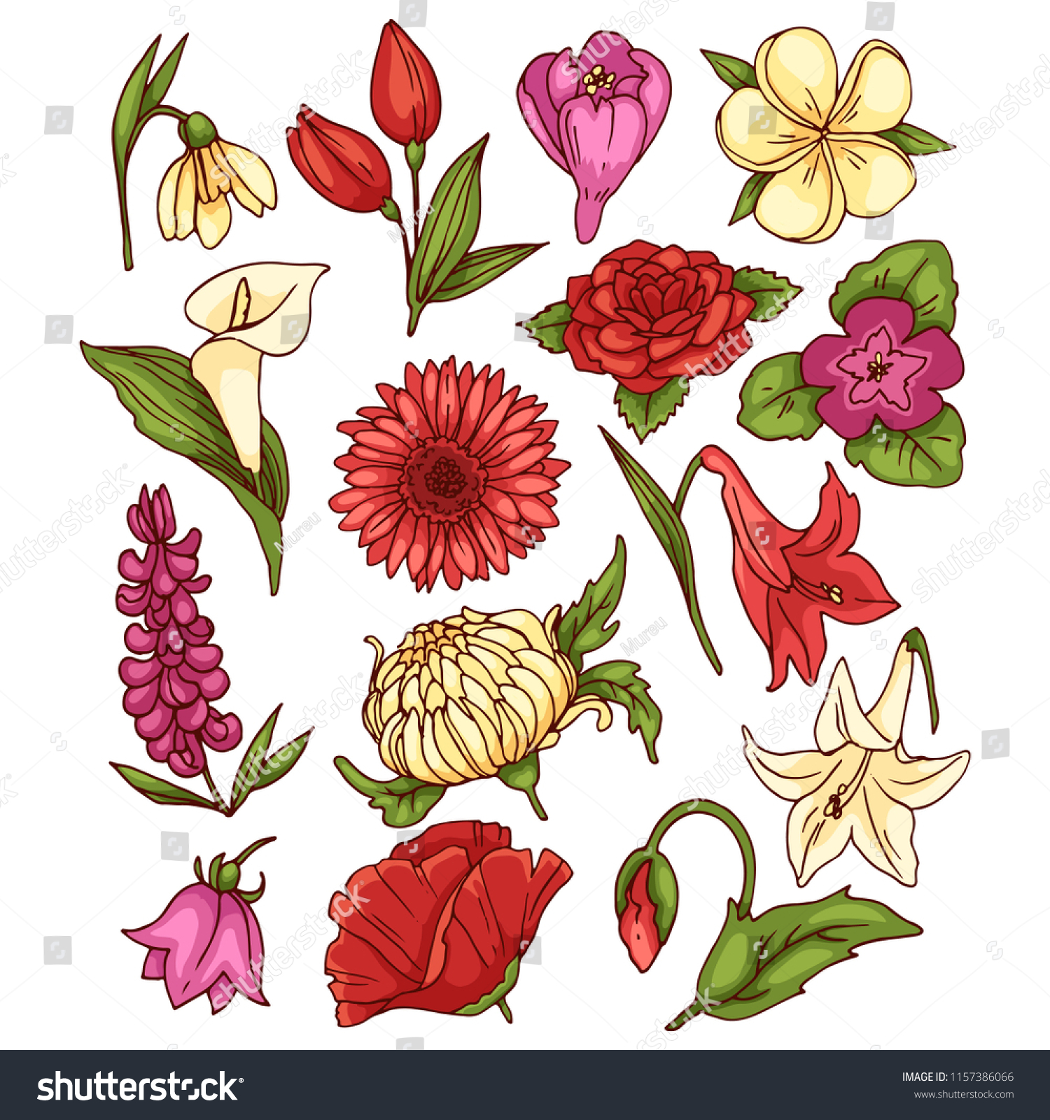 Different Colored Flowers Vector Set Stock Vector (Royalty Free ...