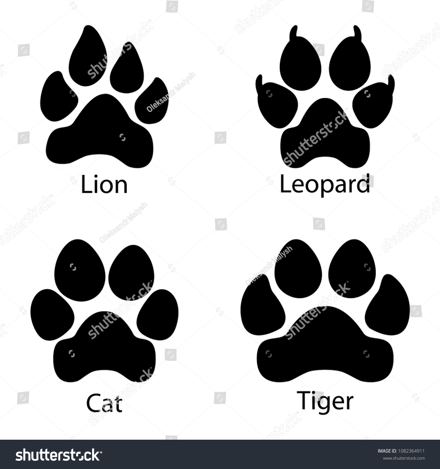 SVG of Different footprints of big cats. Leopard, lion, tiger paws set illustration svg