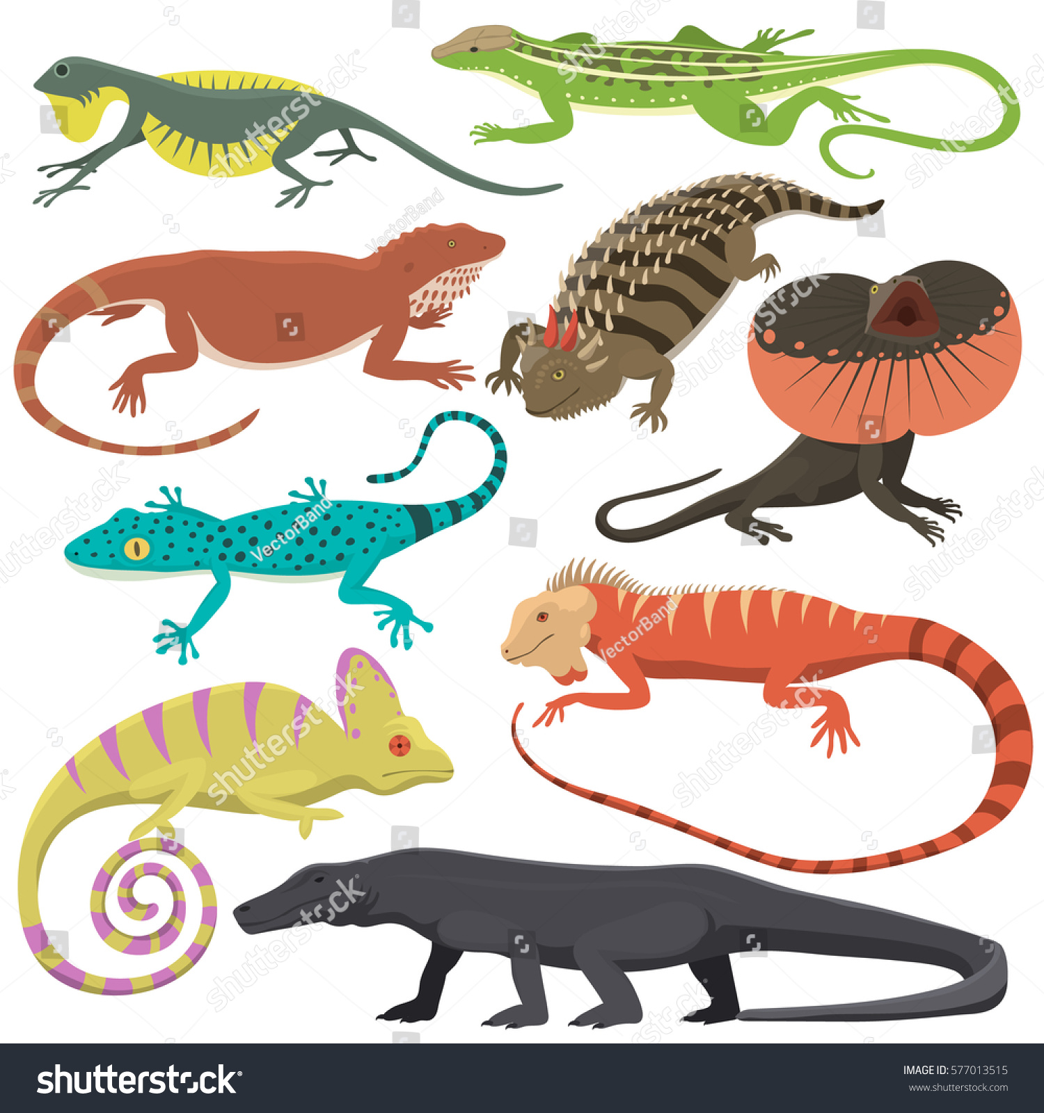 Different Kind Lizard Reptile Isolated Vector Stock Vector (Royalty ...