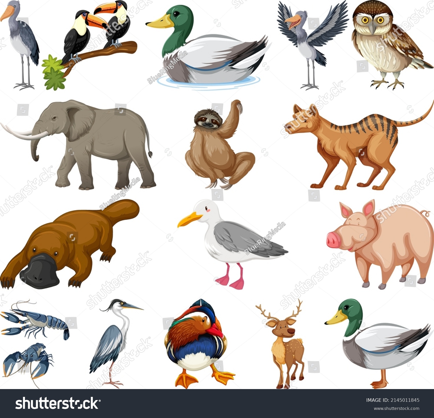 Different Kinds Animals Collection Illustration Stock Vector (Royalty ...