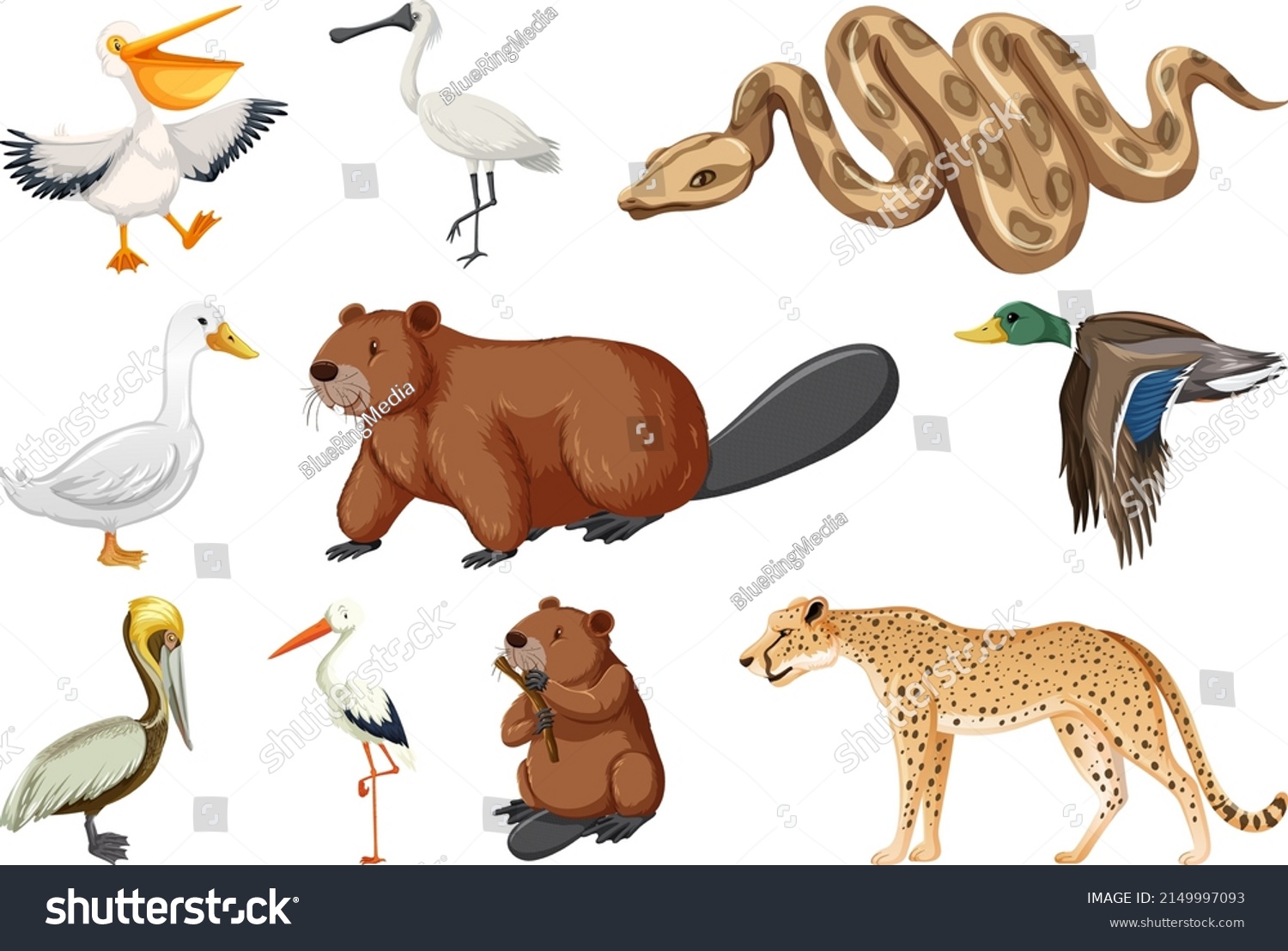 Different Kinds Animals Collection Illustration Stock Vector (Royalty ...