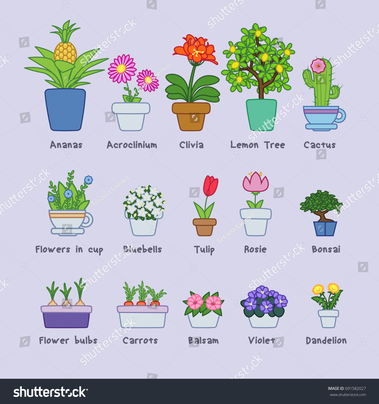 Flower Station Online Flower Shop Dubai