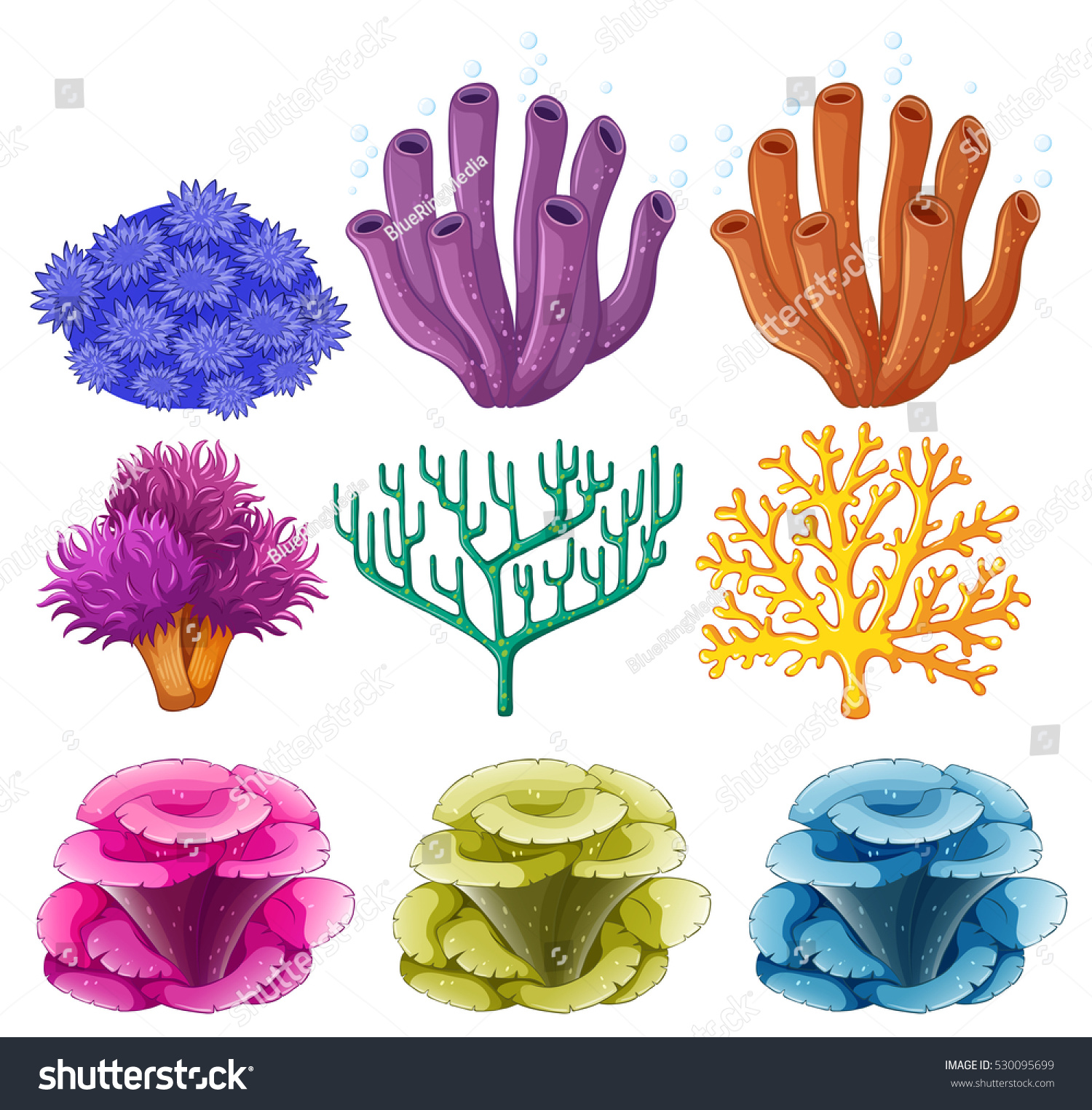 Different Types Coral Reef Illustration Stock Vector (Royalty Free ...