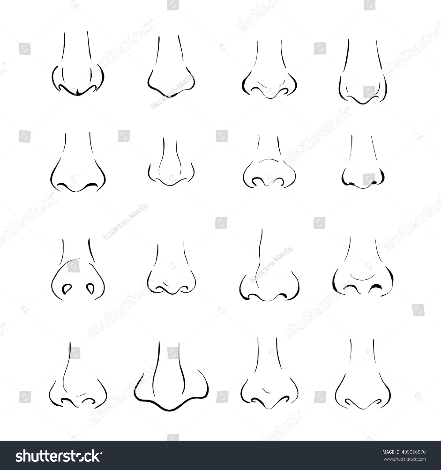Different Types Of Nose Sketches Chelss Chapman