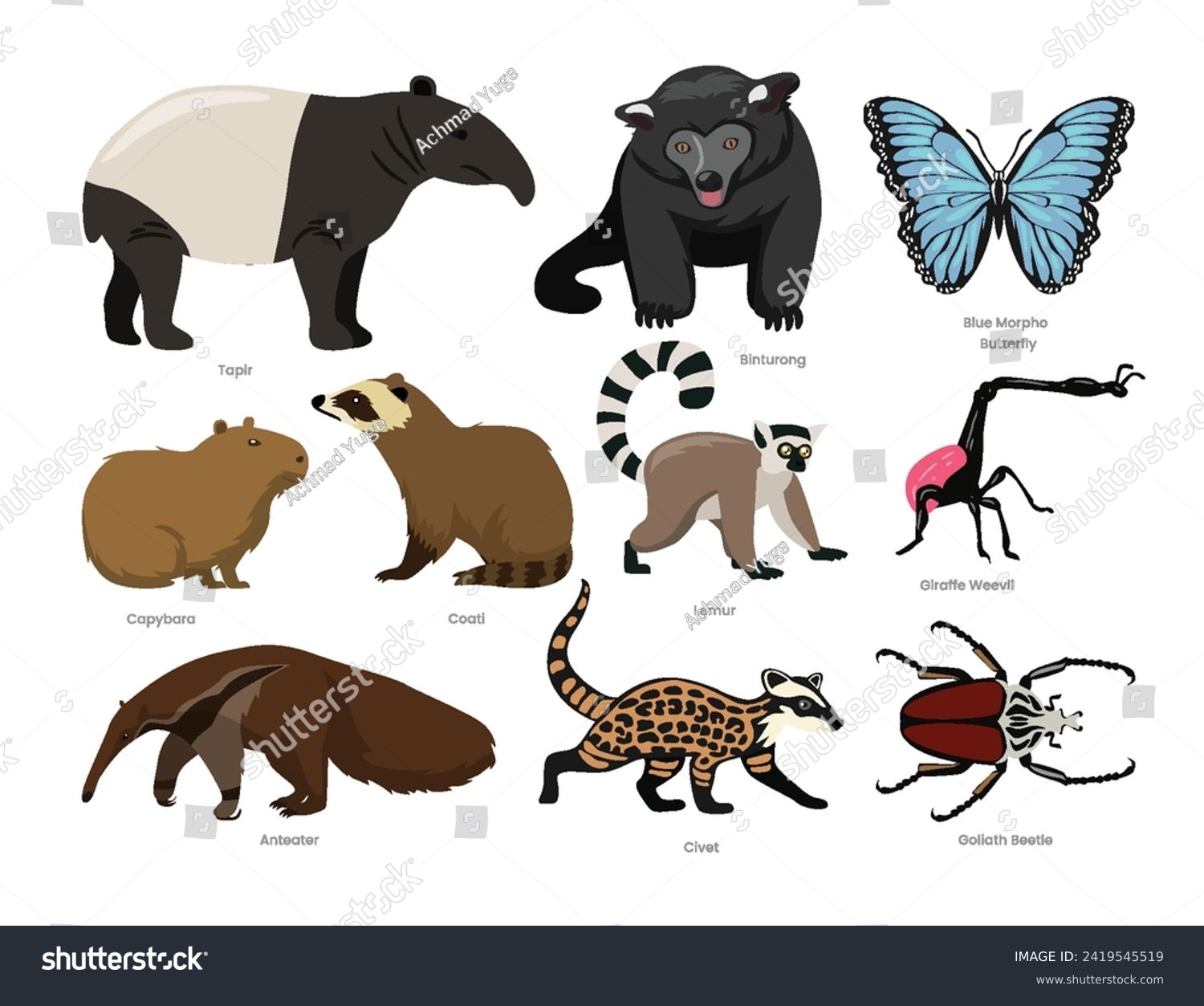 SVG of Different types of Rainforest Animals set cartoon collection, various jungle rainforest animals wildlife, vector illustration, suitable for education poster infographic guide catalog, flat style. svg