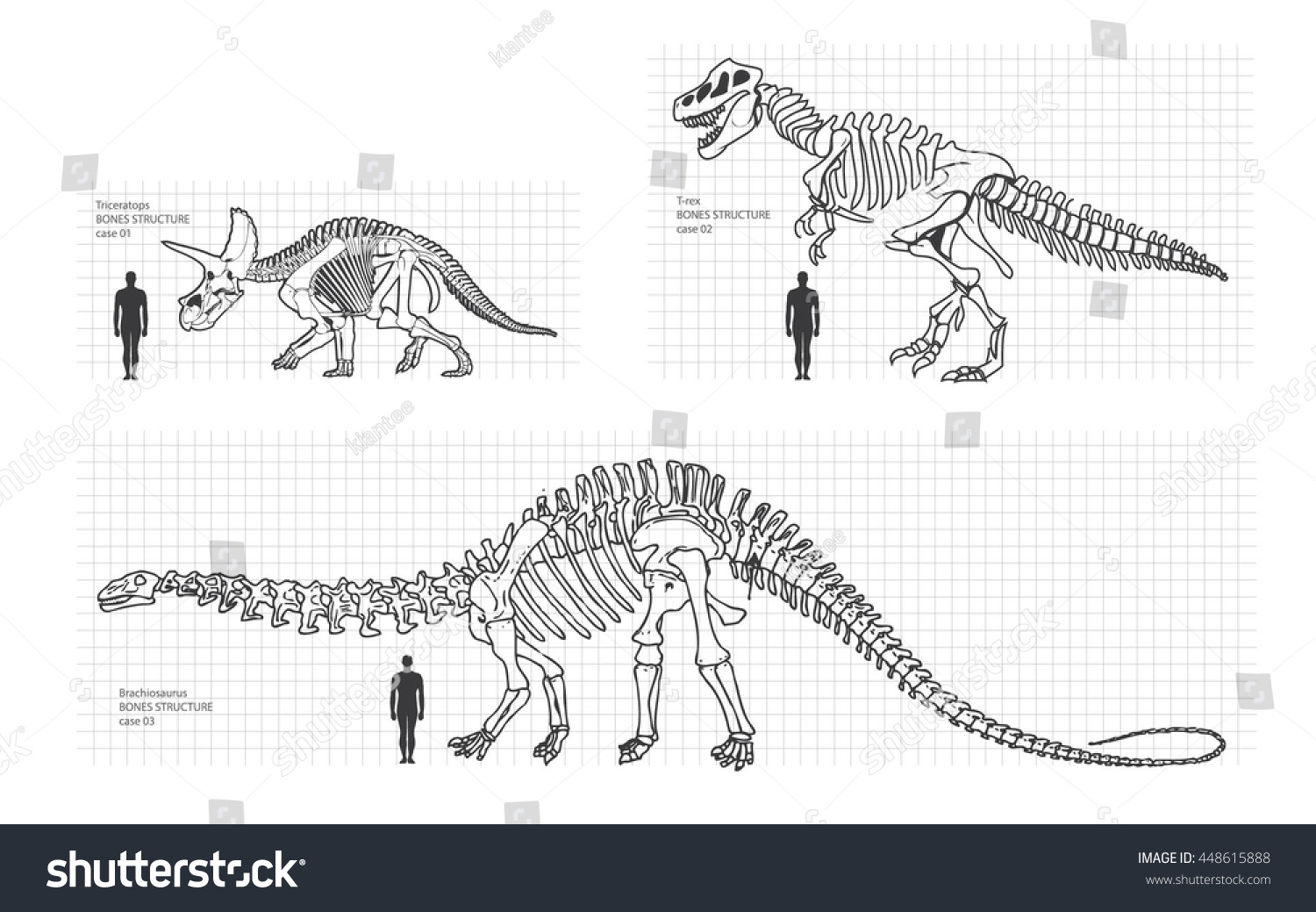 bone plate head dinosaur