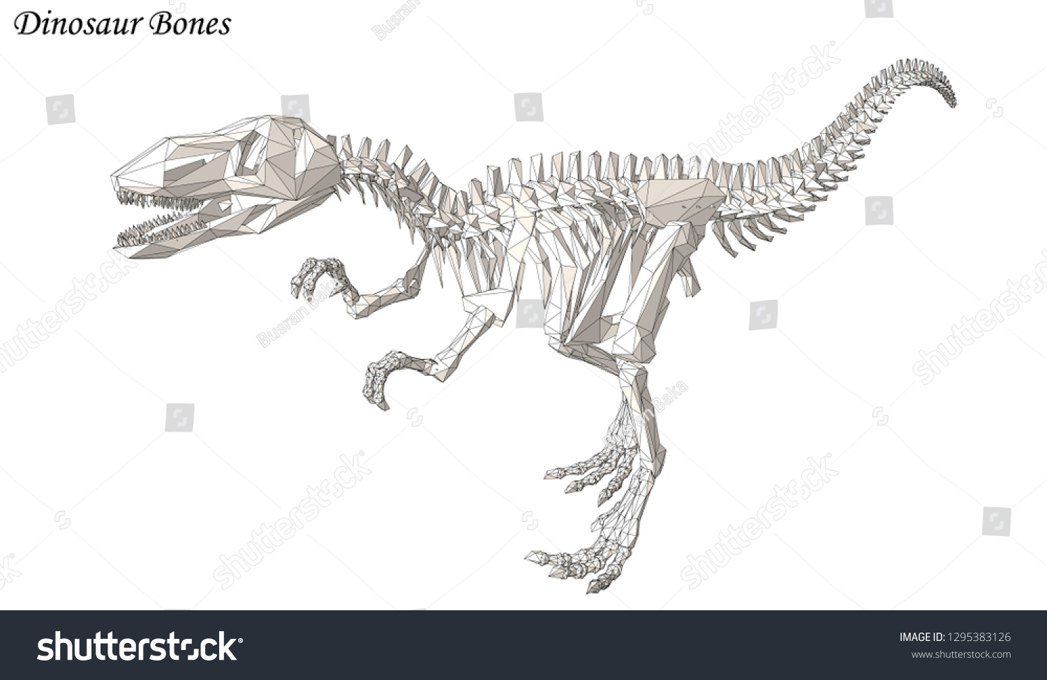 Dinosaur Bone Vector Raptor 3d: เวกเตอร์สต็อก (ปลอดค่าลิขสิทธิ์ ...