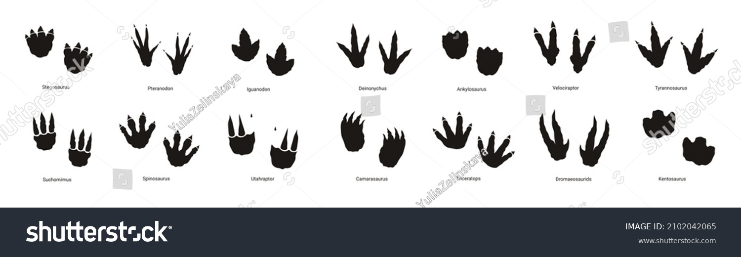 SVG of Dinosaur footprint set in black color.
Stegosaurus, tyrannosaurus rex, iguanodon, utahraptor, pteranodon svg