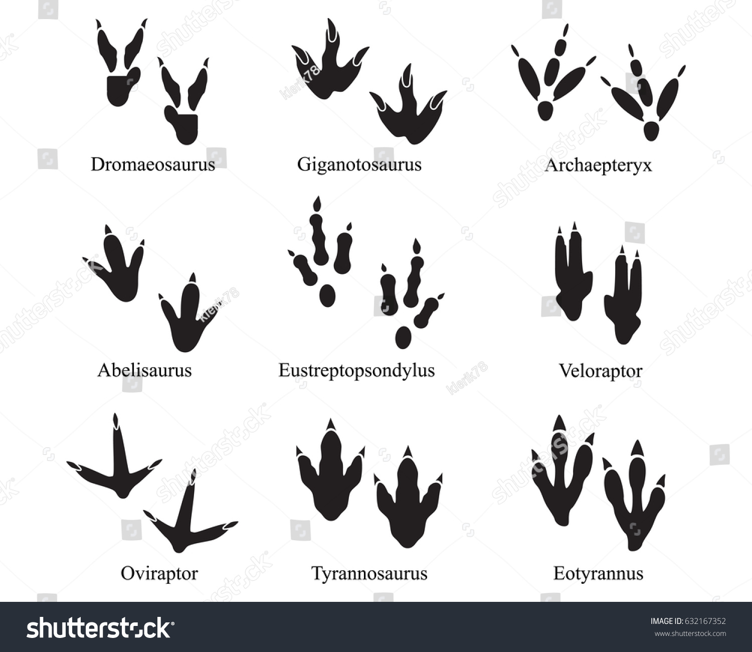 dinosaur footprint identification