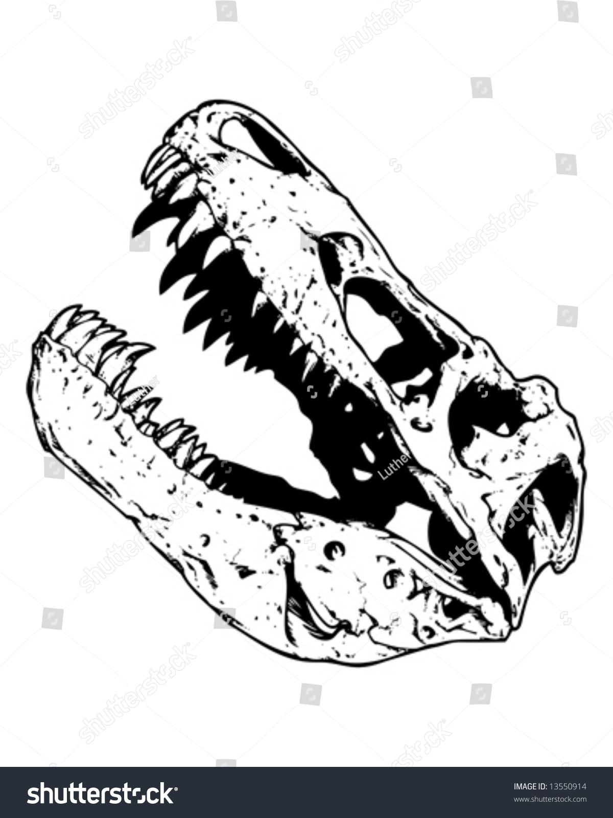 skull head dinosaur