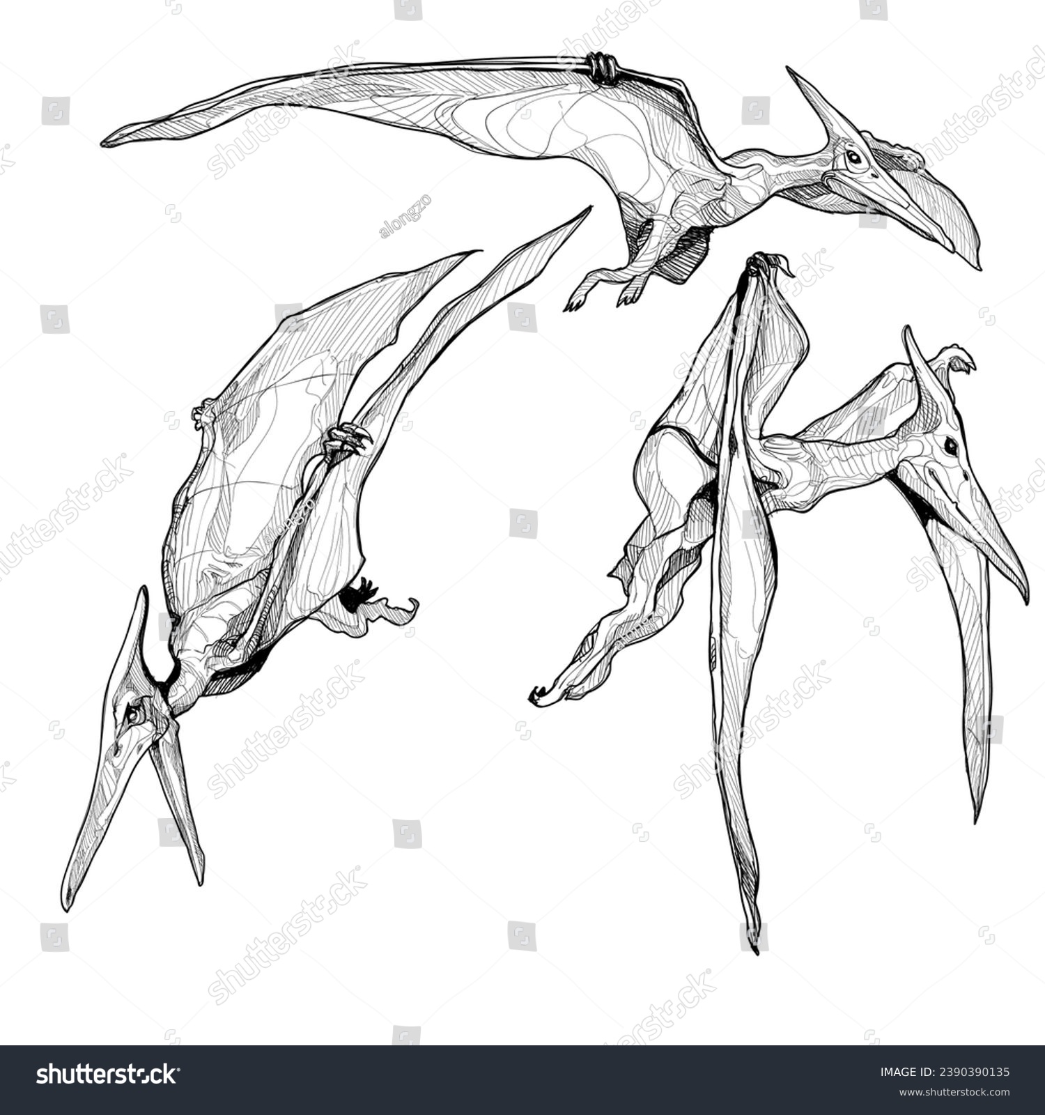 pterodactyls in flight, black and white drawing clip art preview