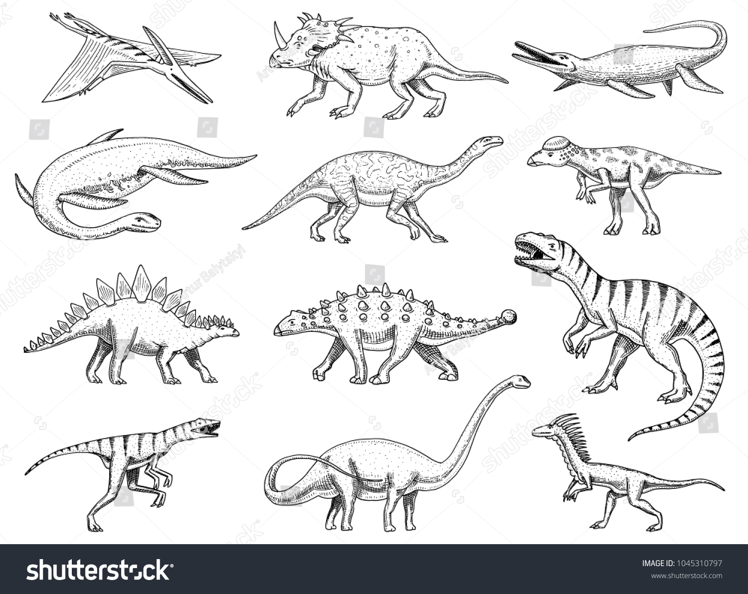 Dinosaurs Set Tyrannosaurus Rex Triceratops Barosaurus Stock Vector ...