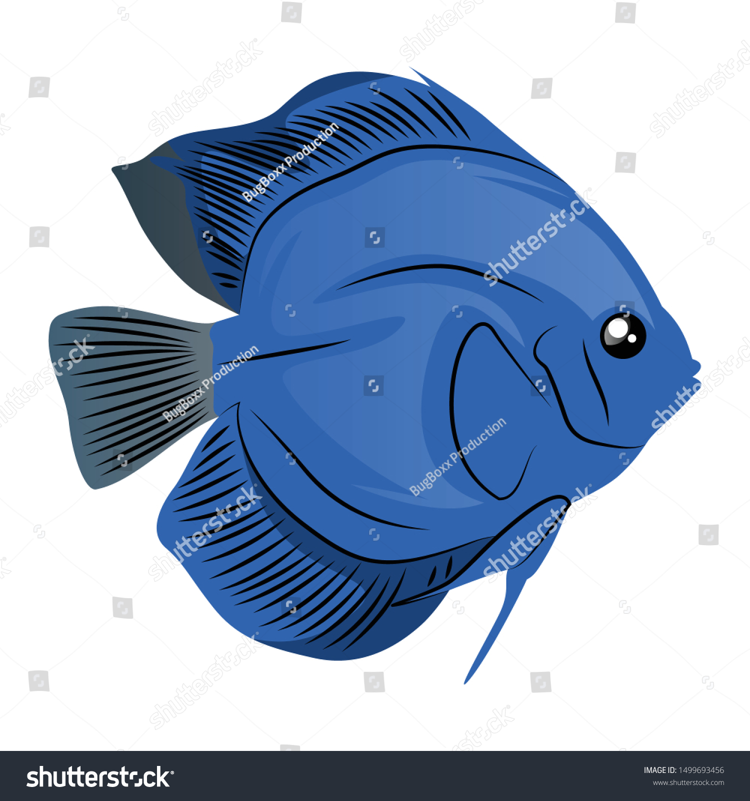 Discus Fish Vector Illustration Isolated On Stock Vector (Royalty Free ...