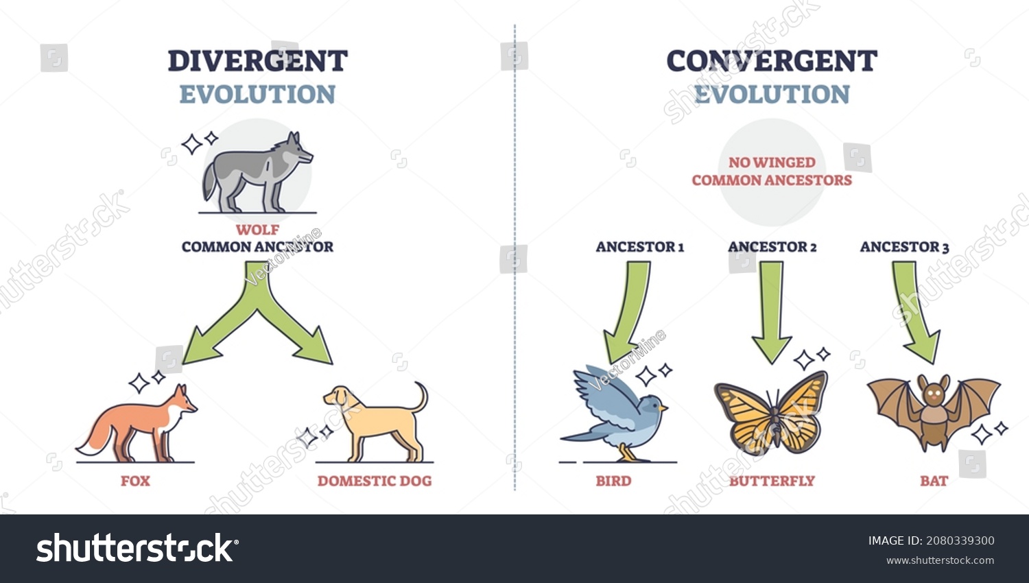 741 Convergent type Images, Stock Photos & Vectors | Shutterstock
