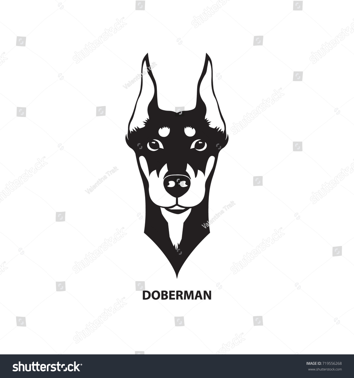 Doberman Head Vector Illustration Stock Vector 719556268 - Shutterstock